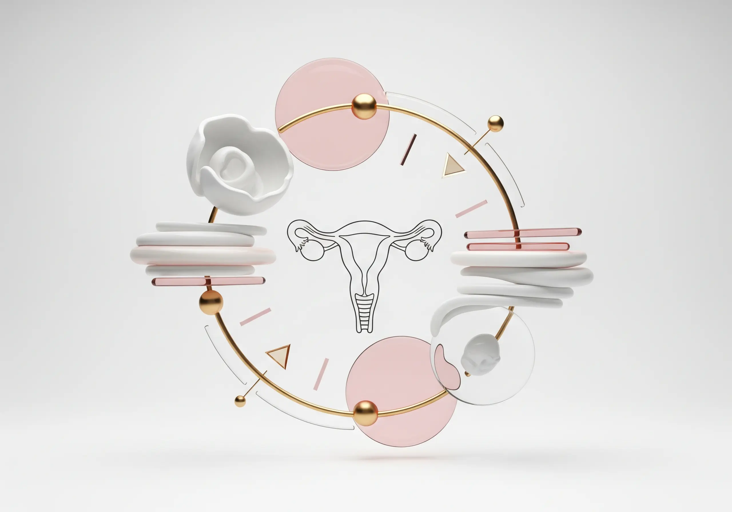 Stylized medical illustration representing the menstrual cycle rhythm and hormonal balance